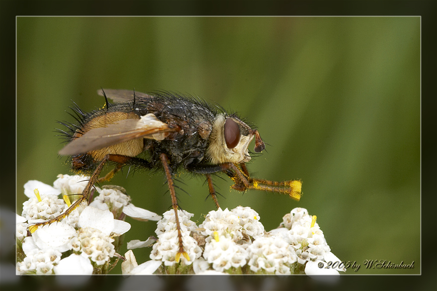 Vor dem Essen H�nde waschen...