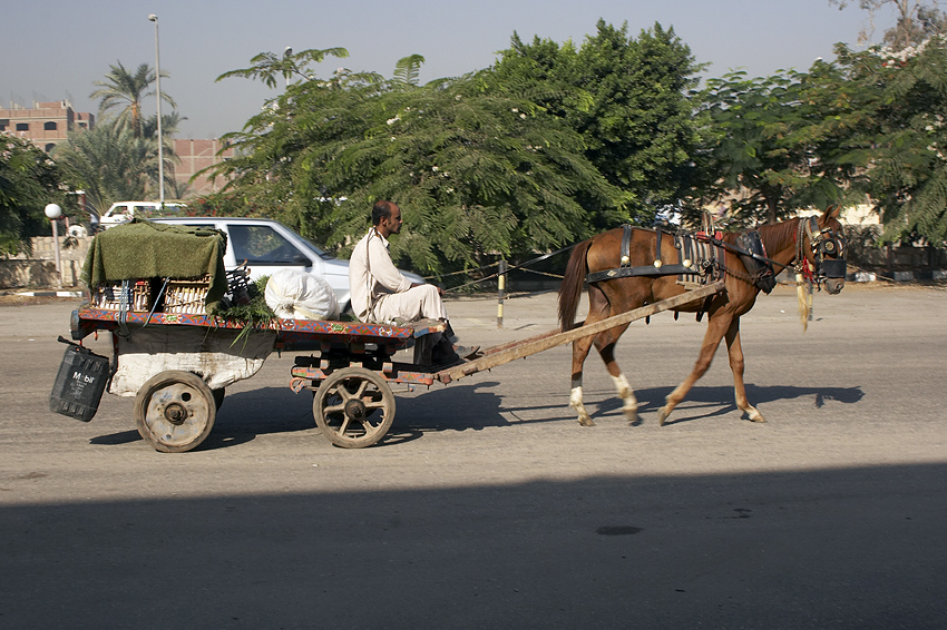 (050) mit Ruhe vorw�rts...