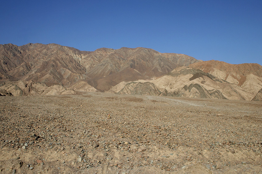 (006) sch�nes Farbenspiel...