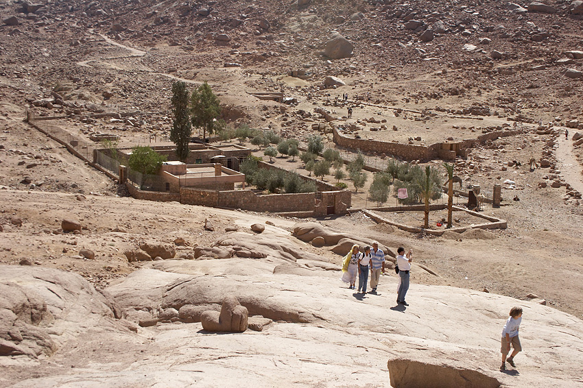 (035) kleiner Garten mit Olivenb�umen