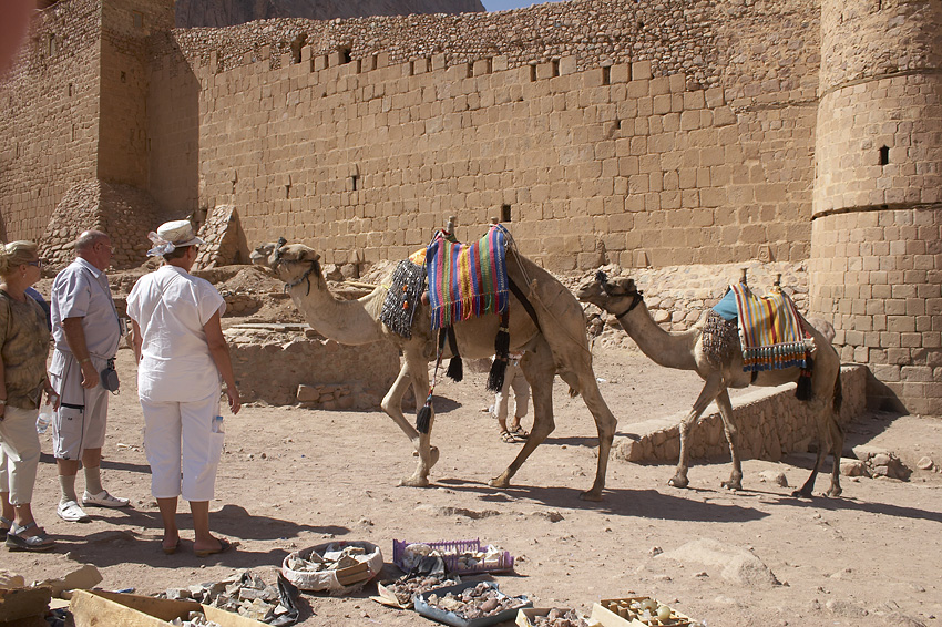 (043) f�r den Ausritt bereit...