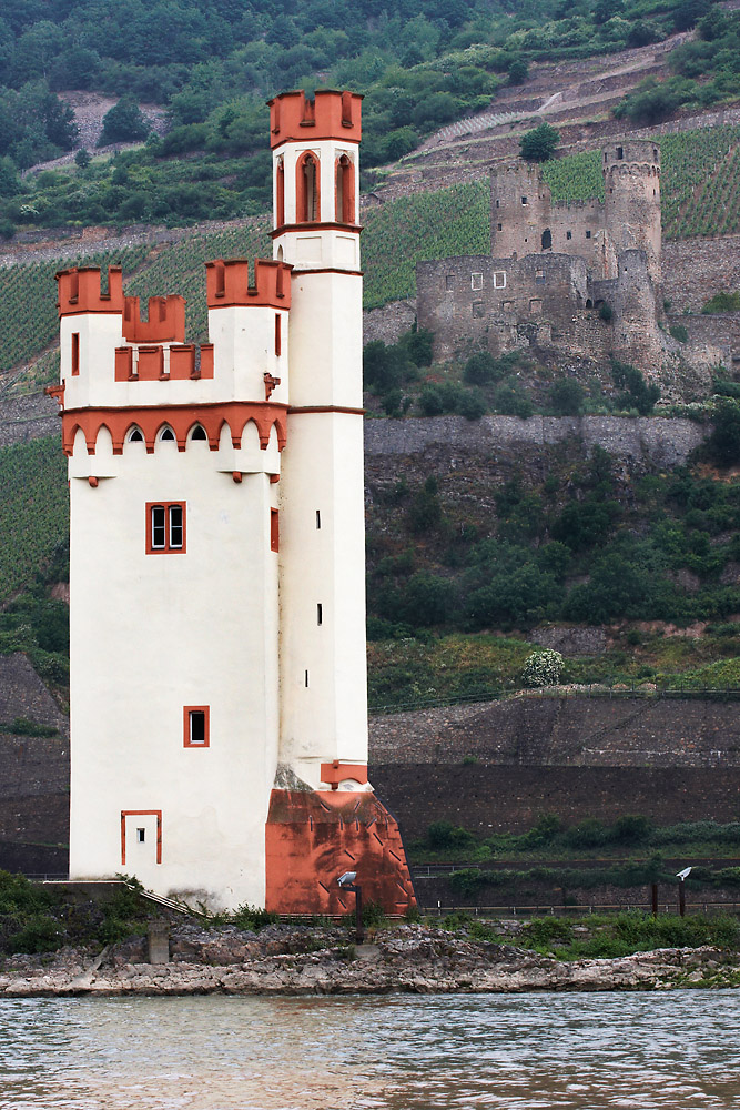 M�useturm und Burgruine Ehrenfels