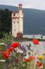 der M�useturm bei Bingen